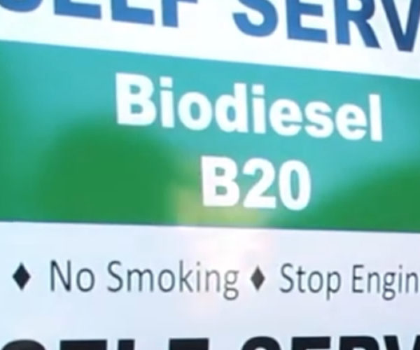 Pompe biodiesel B20