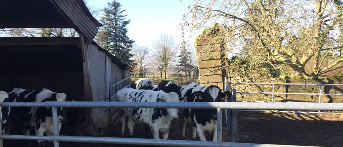 Ferme agricole