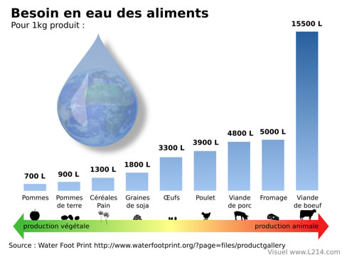 besoin-eau-aliment Le besoin en eau par aliment