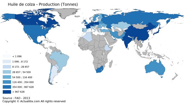 La carte du monde de la production d'huile de colza