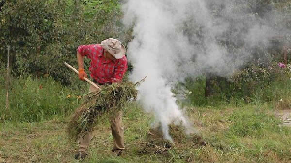 Un exemple de feu de branchage en campagne
