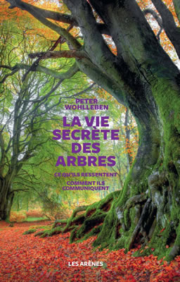 la-vie-secrete-des-arbres Le livre de Peter Wohlleben sur les arbres et les forêts