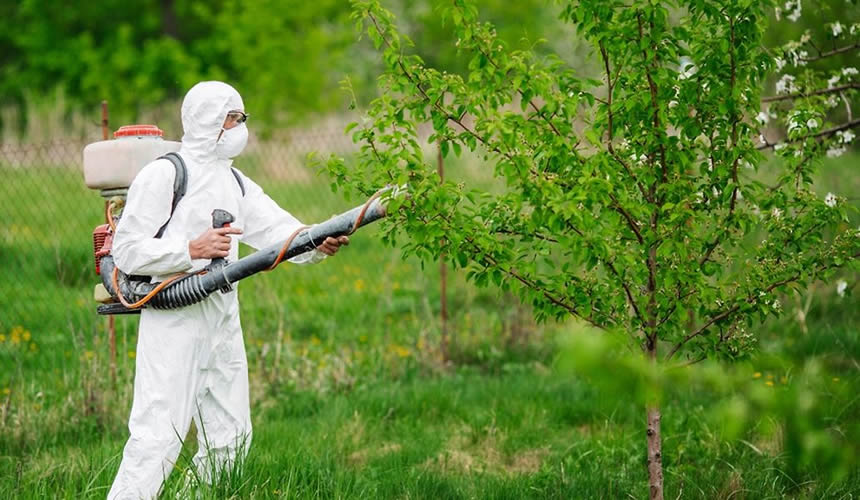 Interdiction le 1er septembre 2018 en France de 5 néonicotinoïdes