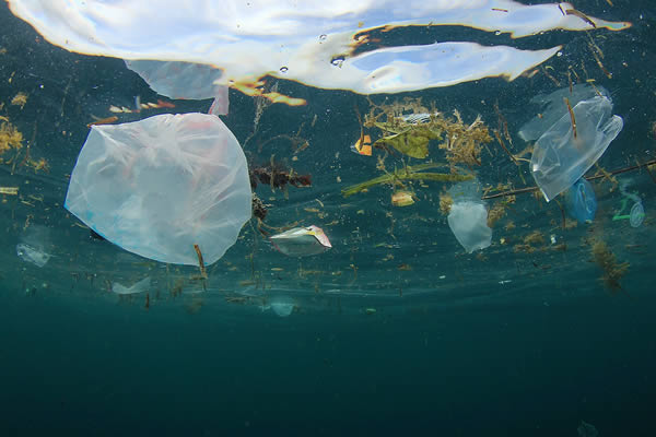 Pollution des océans par les plastiques
