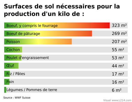 surface-pour-1kg-aliment Graphique de la surface de sol nécessaire pour la production d'un aliment