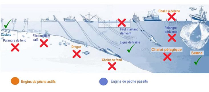 filets de mer - équipement de pêche ou agrès comme toile de fond