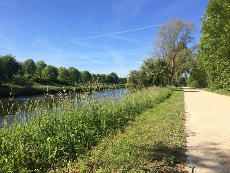 tonte-chemin-riviere Bordure d'un chemin tondu partiellement pour conserver la biodiversité.
