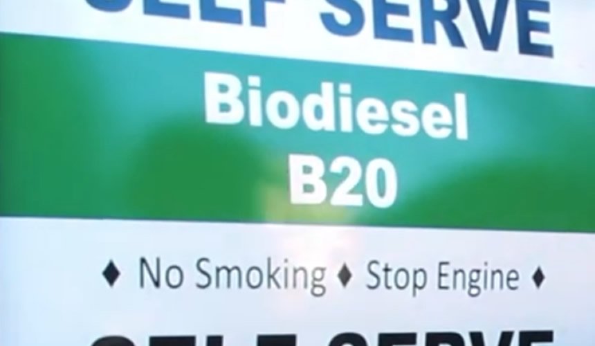 Pompe biodiesel B20