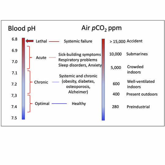 Effet du CO2 sur le pH du sang sur la santé humaine
