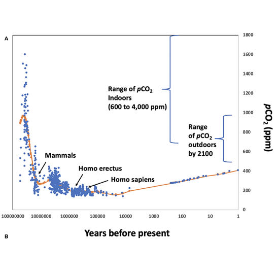 Evolution du CO2 dans l'atmosphère depuis les premiers mammifères