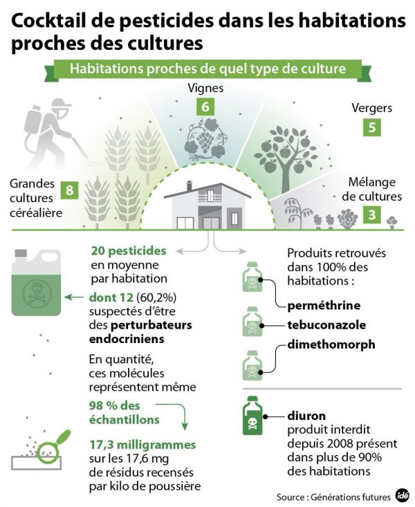 Schéma des pesticides présents dans les maisons